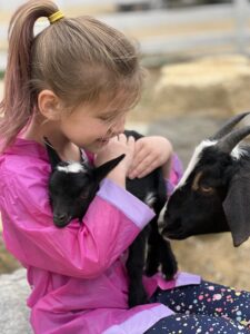 A young girl smiling and holding a baby goat with an adult goat beside her.